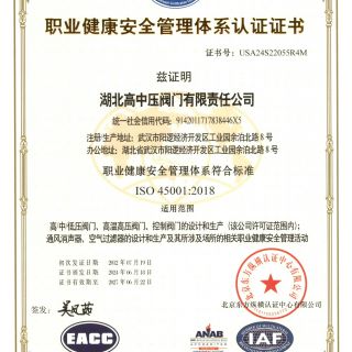 ISO45001職業健康安全管理體系證書（中文）